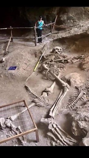 Giant Human Skeleton found in Ireland #gianthumanskeleton #humangiants #bones #skull