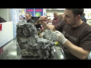 Aquascaping Contest "The Art of the Planted Aquarium" 2014, The Event (pt. 1 of 3)