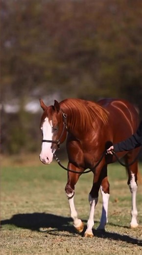 Rachel Amick Vick on Reels