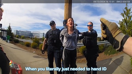 585K views · 11K reactions | A quiet roadside moment turns into pure adrenaline — a traffic stop that shifts from peaceful to heart-pounding in a flash, testing patience, pride, and power all at once.  | Police Insider | Facebook