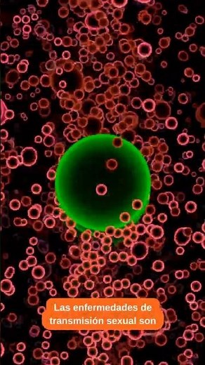 ⚠️ Sexually transmitted diseases: what you should know to protect your health