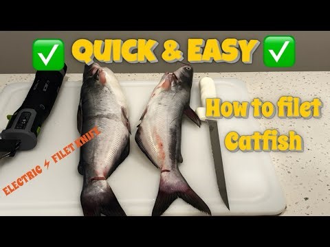 How to Fillet Catfish the EASY Way (Step-by-Step Guide)