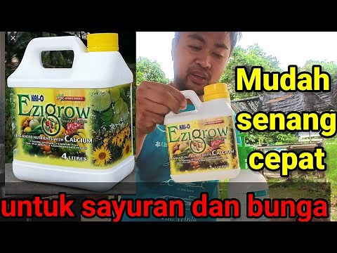 Cara bancuhan baja ezgrow untuk bunga dan sayuran di rumah