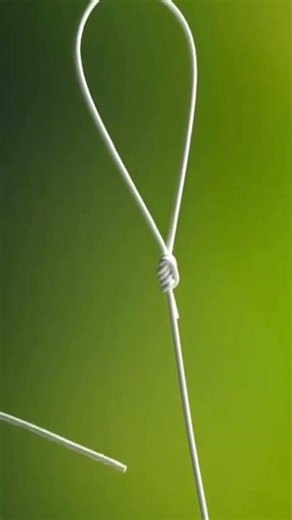 Easy Loop Knot for Every Angler #fishing #gtknot