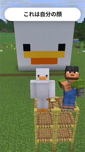 【マイクラ】自分のマイクラスキン立体で作った！ #マインクラフト #minecraft