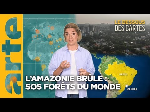 L’Amazonie brûle : sos forêts du monde | L'essentiel du Dessous des Cartes | ARTE