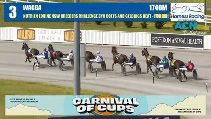 My Ultimate Barney sets Australian record at Riverina Paceway