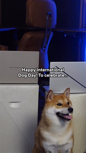 Happy International Dog Day!🐾In honor of the holiday, here‘s how to use your #ASUS AI PC to create a personality pic for your furry friend with Generative Fill in Microsoft Paint.🪄🐶📸 #Zenbook #ROG #Zephyrus #AIPC | Link in bio. | ASUS