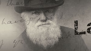 VRAI OU FAUX. Biologie : la théorie de l'évolution de Darwin est-elle erronée ?