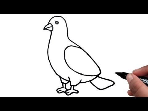 How to draw a bird for kids || Easy bird drawing ||