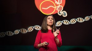 What you need to know about CRISPR