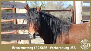 4.3K views · 306 reactions | "Ich bin TAG 5695 und werde gerade in...