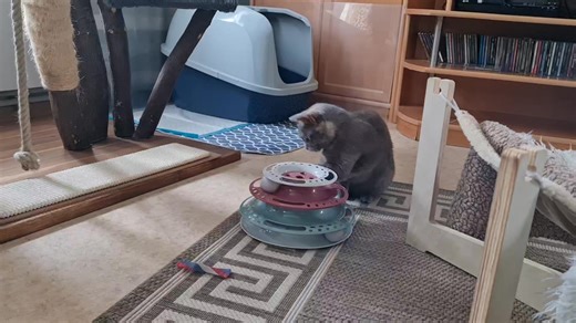 Doris Gärtner on Instagram: "Nala. ❤️ Bevor Nala hierher kam, durfte sie schon ein Jahr nicht mehr ins Haus. Klar, ohne Ausmassieren hat sie gestunken und war "bäh".... es hat auch bei mir eine Weile gedauert, bis sie sauber managebar war. Heute alles kein Problem mehr. 🥰"