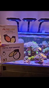 6.4K views · 152 reactions | "Really get to see the polyp extension on your corals. also great for inspecting corals for those nasty pests!!!" : @James Hampton | Maxspect | Facebook