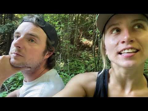 Will This Even Work? Shiplap: Birch, Cedar, Lodgepole | Harbor Freight Sawmill