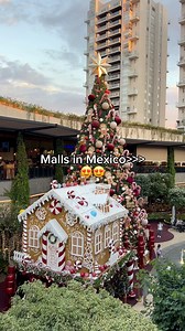 206K views · 4.9K reactions | Especially during the holidays #mexico #mall #christmas #shopping #fyp | Lillian Lonnett | Facebook