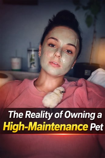 The reality of owning a high-maintenance pet