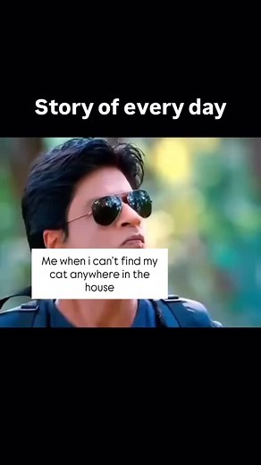 When i can’t find my cat anywhere... #cat #catstagram #catmemes #relatable #tranding #fyp #cats #catlife #meme #reels | Wagging Wanderers