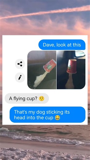 A FLYING CUP?! ☕️🐶 #shorts #funny #textingstories