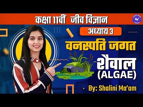 शैवाल (Algae) (L- 1) | वनस्पति जगत | Class 11th Biology Chapter 3 by Shalini Maam | Hindi Medium