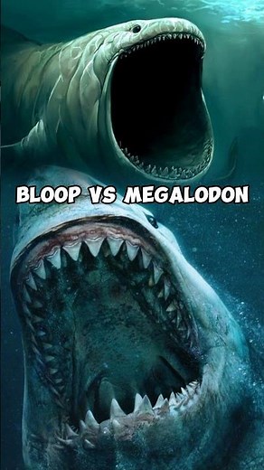 BLOOP VS MEGALODON