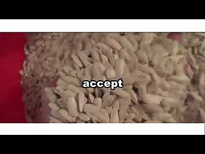 Renk ayırma makinesi ( Sortex )