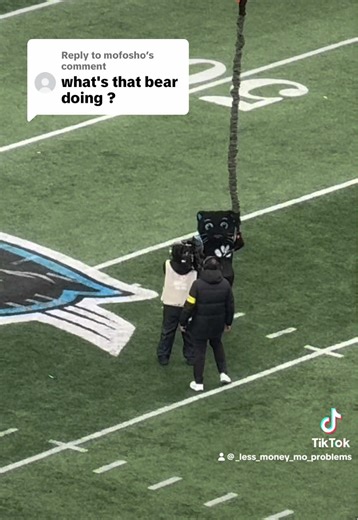 Replying to @mofosho We love our “bear” and everything he does ❤️People may hate but we still have a shot at the playoffs sooo…. 🤷‍♀️ #carolinapanthers #sirpurr