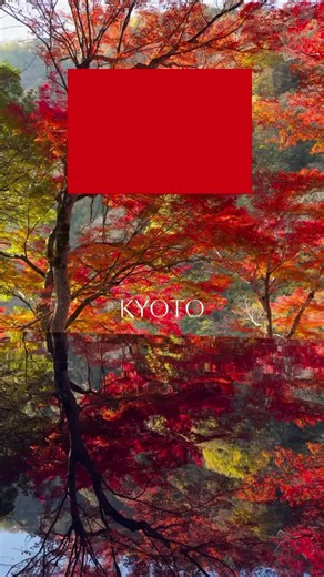 Edo Japan Travel on Instagram: "Exploring Japan – Autumn in Kyoto Kyoto’s Most Beautiful Season: Autumn 🍁 Autumn in Kyoto is one of the most breathtaking experiences in Japan, with fiery red maples and glowing golden ginkgo trees surrounding ancient temples. The entire city transforms into a world of color, making it a dream destination for fall travelers. • See stunning foliage at iconic spots like Kiyomizudera, Eikando & Tofukuji • Enjoy peaceful riverside walks in Arashiyama’s autumn scenery