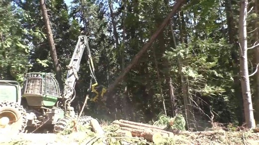 John Deere Thrives in Forest Thinning with Unstoppable Power