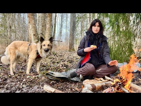 Woman Bushcraft: Hiking Deep in the Estonian Forest with My Dog | Campfire & Cooking