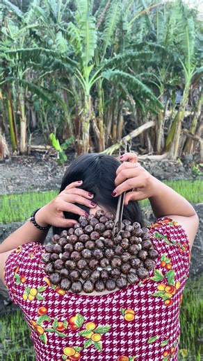 Understanding Lice: Causes and Treatments