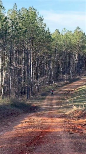 Avery opening up the KX 65