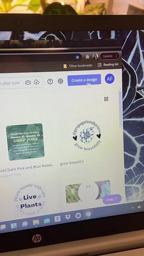 Designing Labels with Canva: Easy DIY Tips for Small Business Owners