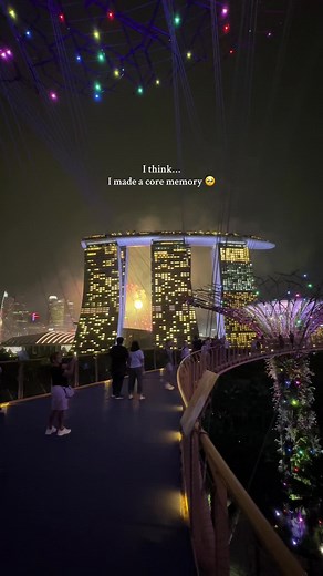 Gardens by the Bay Light Show Experience in Singapore