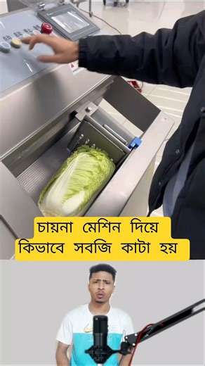 Chinese Veggie Cutting Machine Review