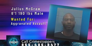 Crimenet: Julius McGraw