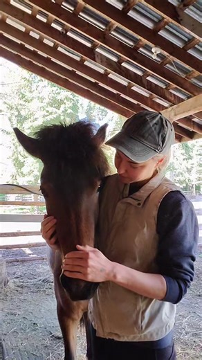 Affectionate Horse Hugs Compilation