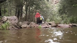 If you were GGT curious after Part 1 of the Green Gully Track video, here's part two... it includes our favourite day of all and our experiences at the steepest of the steep exit routes. Q: Is the GGT on your bucket list? What is most attractive about it? NSW National Parks and Wildlife Service #greengullytrack | Lotsafreshair | Facebook
