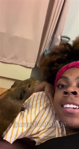 Hilarious Guinea Pig Moments