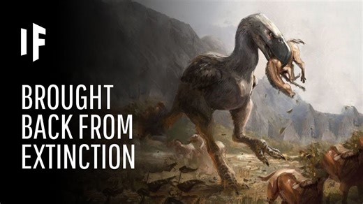 How extinct animals could reshape ecosystems if brought back to life