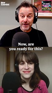 10K views · 104 reactions | Lab grown mini human brains have been...