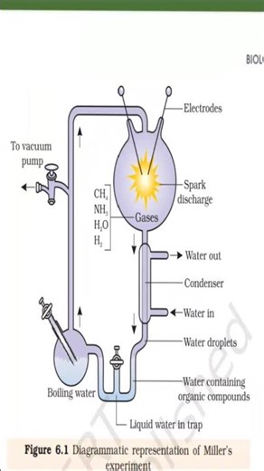 NEET; Evolution chapter All Diagrams 🌟 # neet #biology #neetaspirents #neetbiology