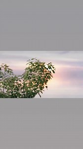 121 reactions · 9 comments | Learn about a world of knowledge at the Kenya Methodist University Library!  A hub for research, innovation, and academic excellence where faculty and students come together to discover knowledge. #KeMULibrary #AcademicExcellence #Research | Kenya Methodist University | Facebook