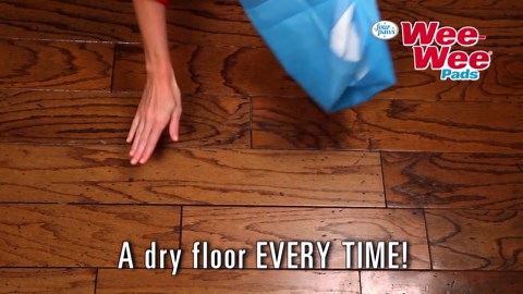 Four Paws Wee Wee Absorbent Potty Training Dog & Puppy Pads, Pet Pee Pads, Standard 150 Count