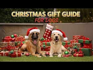 Best Gifts for Dogs and Dog Lovers - 2025 Holiday Edition