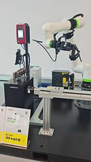 Demonstration of FANUC collaborative robots Integration with 3D Vision
