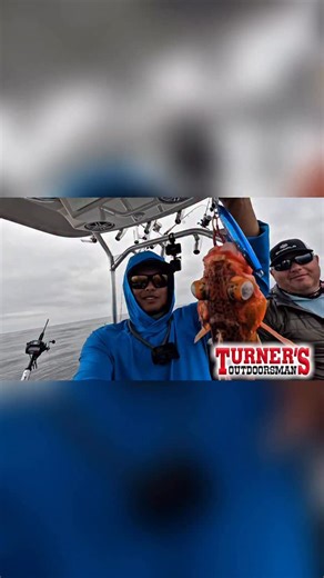 Turner's Outdoorsman on Instagram: "Check out @oliverngy putting the DeepStrike Tungsten Jigs to work on some solid rockfish! This 250g jig is a saltwater multi-species weapon you’ll want in your arsenal. Head over to your local Turner’s Outdoorsman and pick them up! Interested in trips like this? Hit @oliverngy with a follow for more epic content and info🤙 #turnersoutdoorsman #rockfish #verticaljigging #socal"