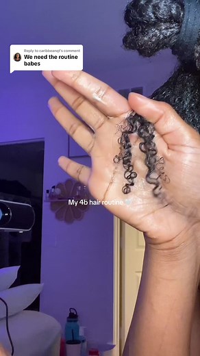4B Hair Care: Defining Curls and Routine Tips
