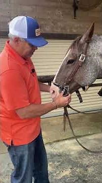 The Perfect Bit--Combination