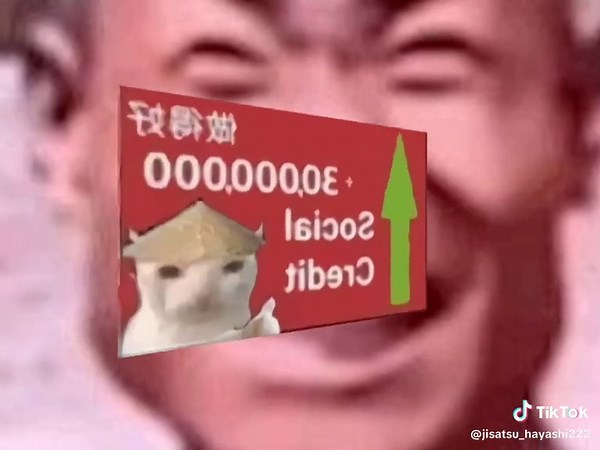 Dealing with Emotional Pain: A Chinese Panda Meme Animation